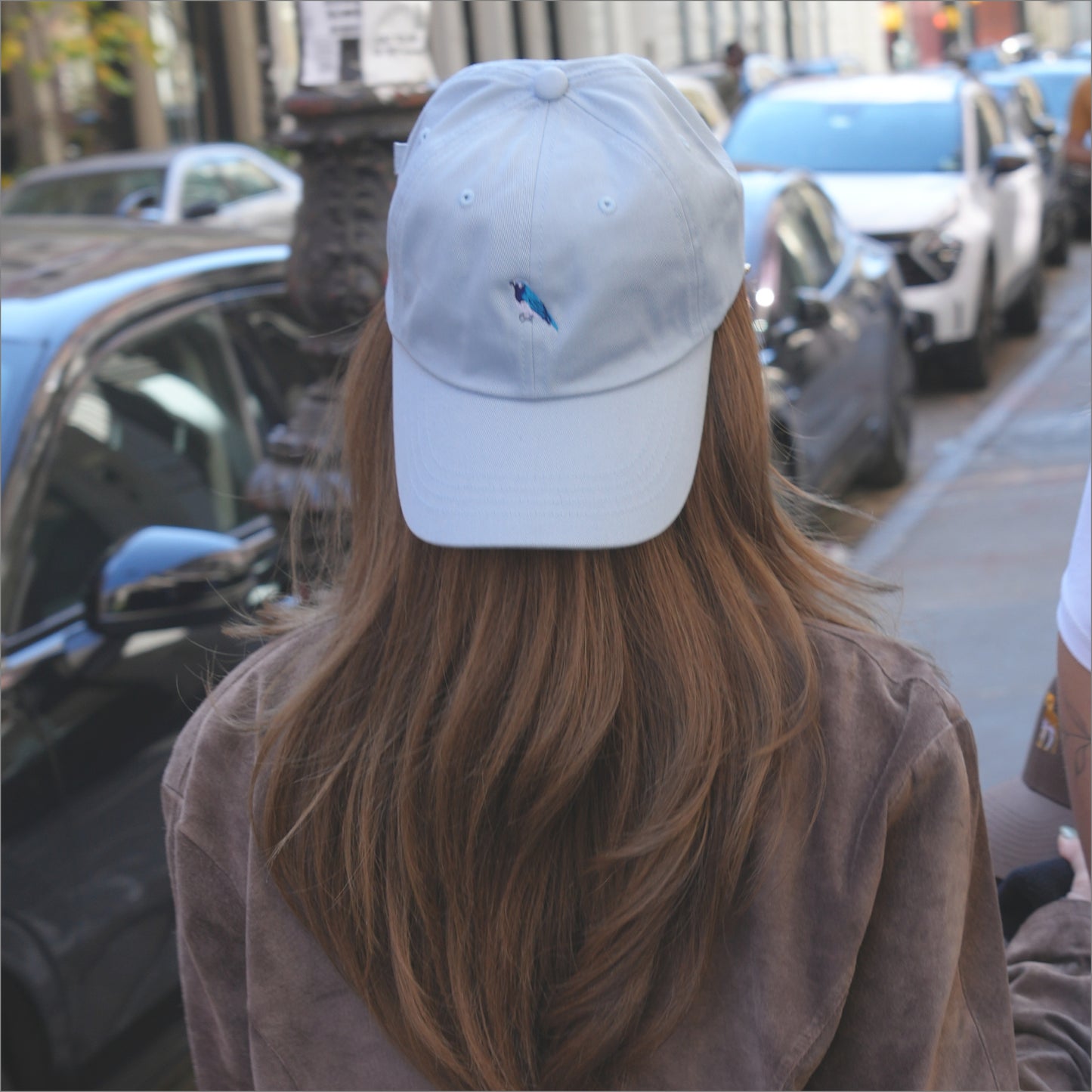 blue jay | dad hat