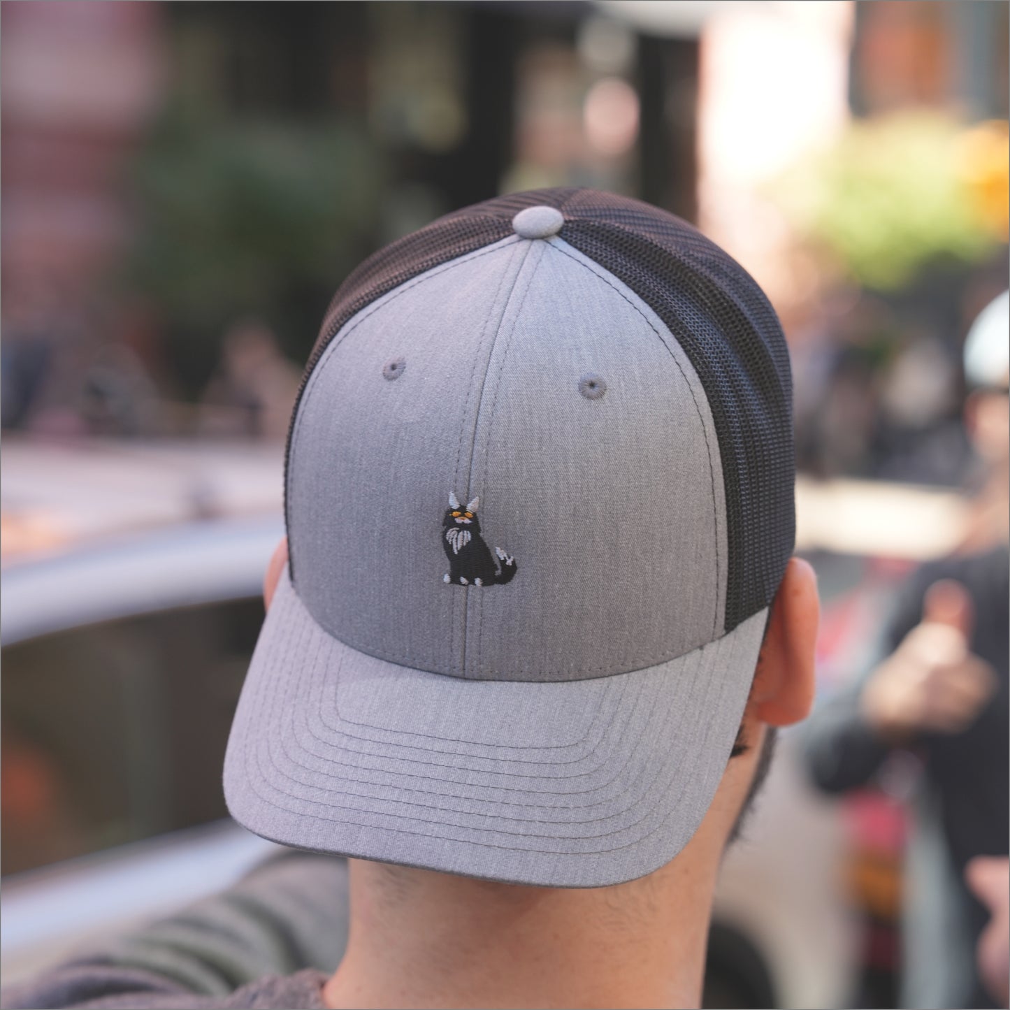 maine coon | trucker