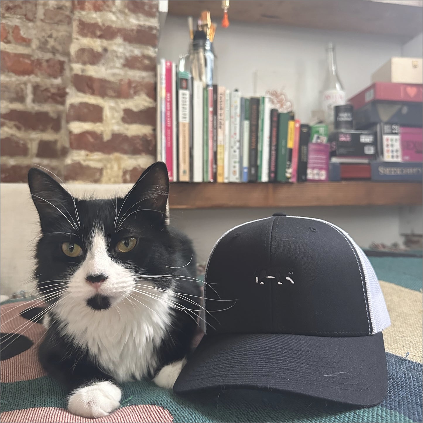 black cat | trucker