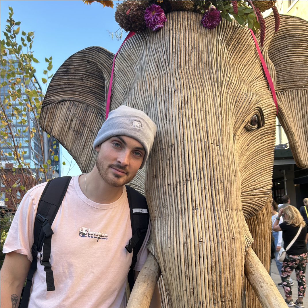 elephant | beanie