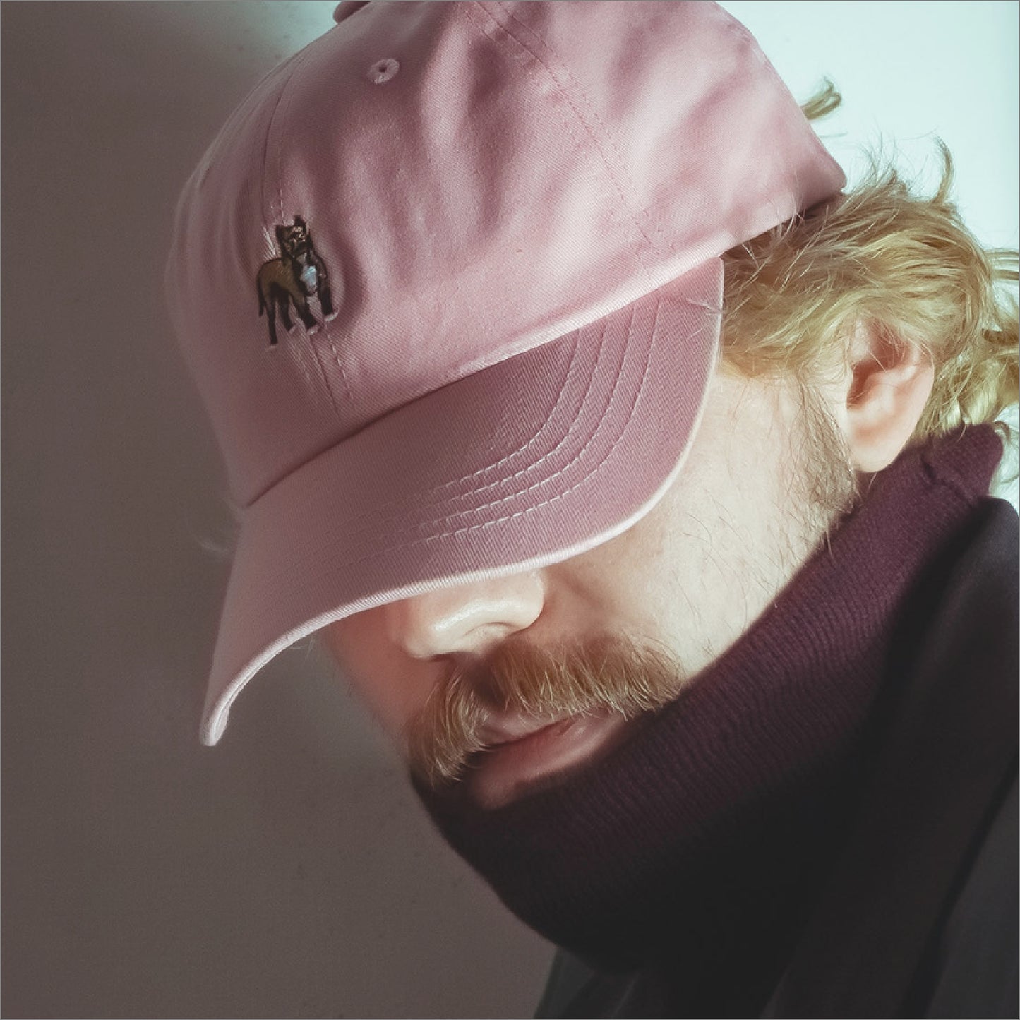 pitbull | dad hat