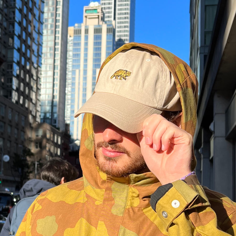 all dad hats