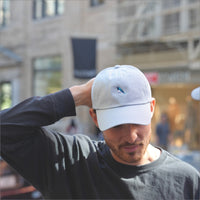 blue jay | dad hat
