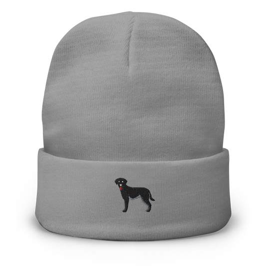 black lab | beanie