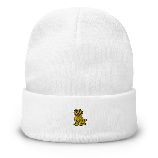 mini labradoodle | beanie