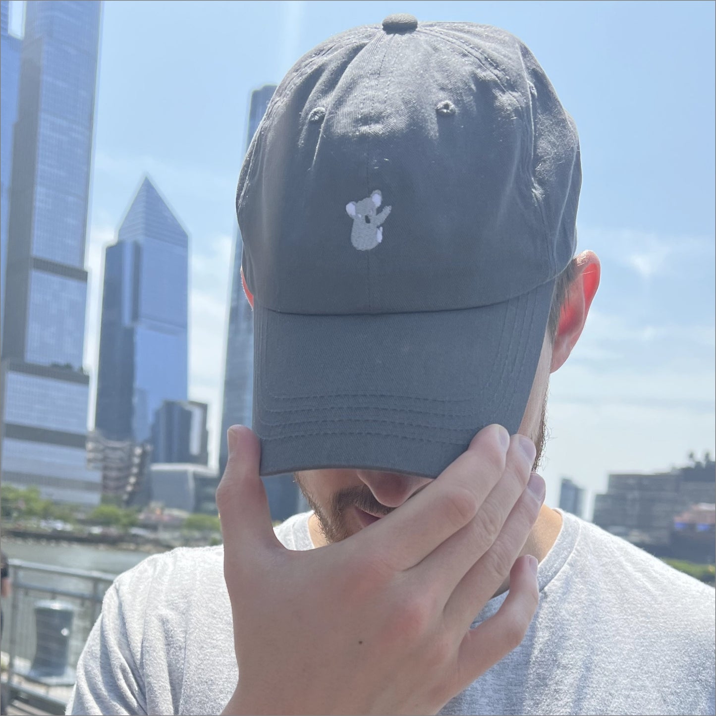 koala | dad hat